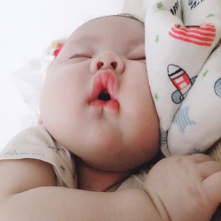 bebu2704