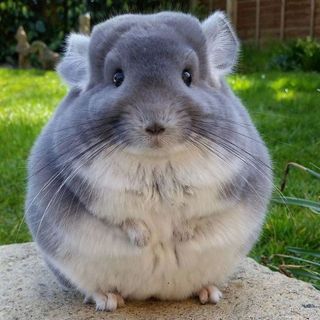 zyr3tkjpqg