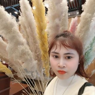 ynmh_2rh66