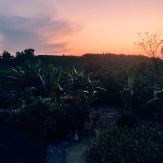 quangnamtx