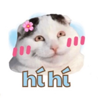 minhnhan