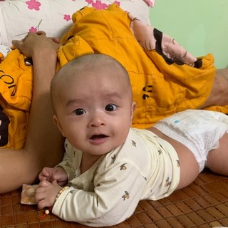 haohao1988nt