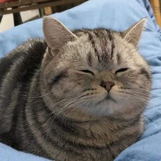 quanghieu123456