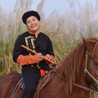 thich_muc_gai_trinh