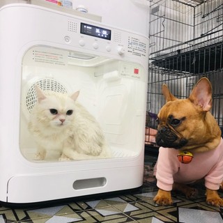 thopetshop95