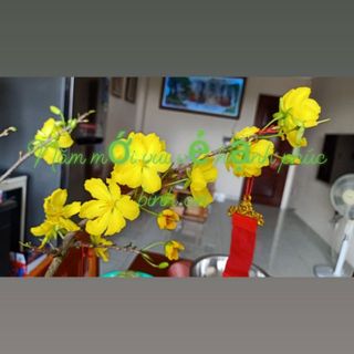 minhtien81