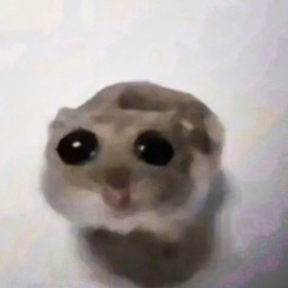 tuuyen90.ip8_hamy