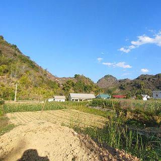 ca_quynh_nhu17