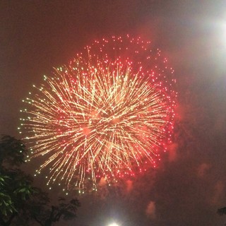 minhhoa9795