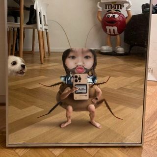 tranthanhlan_2310