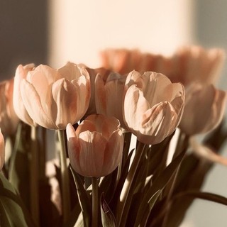 tueanh.1612