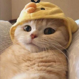 ngochuynh17032001