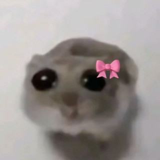 hpuognh2
