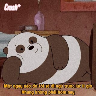 hoahoa_1103