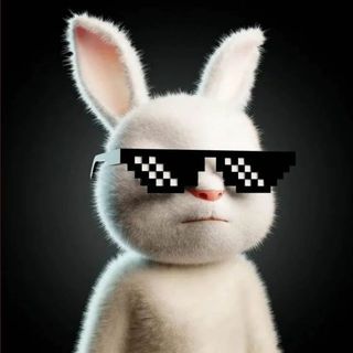 bunnyvr