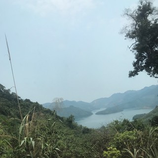 88tduong