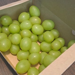 thienle_01