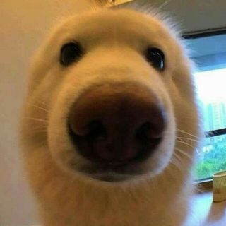 thanhhieujk