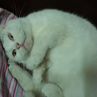 daothiphuong_123