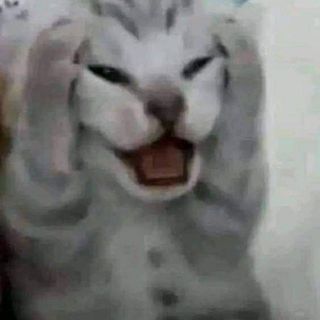 loihoang94
