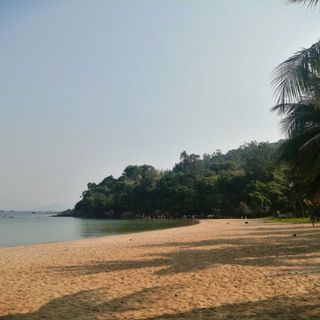 bichthuynguyen818