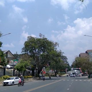 thuytrang1502.