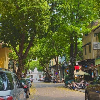 hongthuong0311