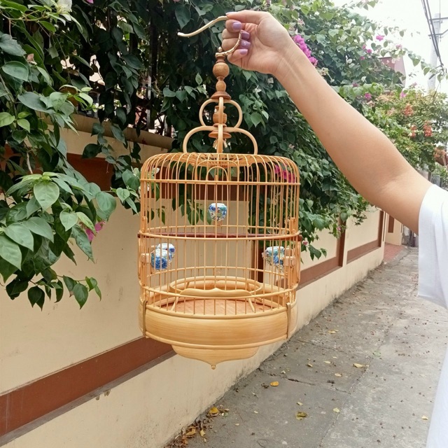 Phu kien lồng chim