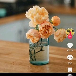 thuhong180291