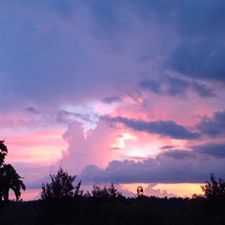 nhnguynthh256