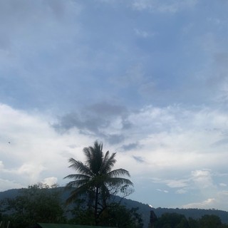 thaochau345