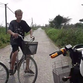 quangbo151