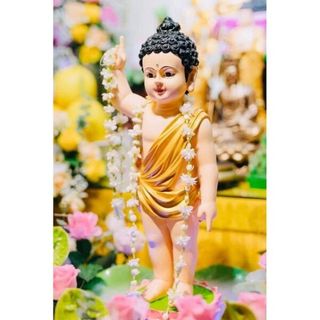 hatdinhduong19
