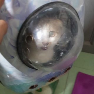 vinhrose23