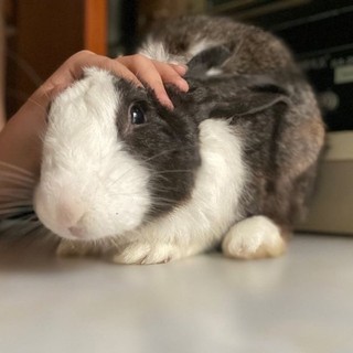 duyencute74