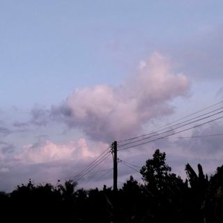 leduyvnvn
