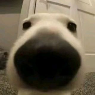 thikieumybe