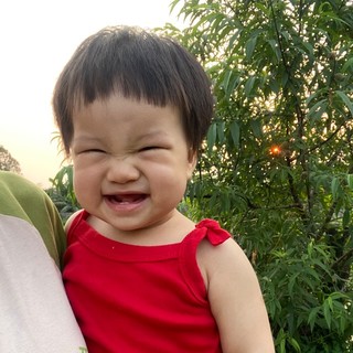 hoaidien27