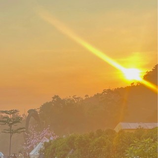 ntytthanh