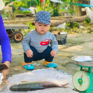 huyengiang79