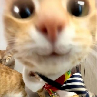 lehuynhcattuong2407