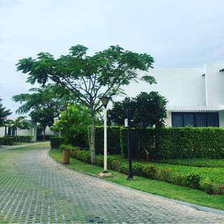 co.store.official