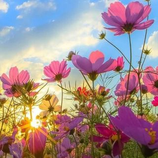 beauty_3012