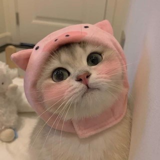 whzuuu