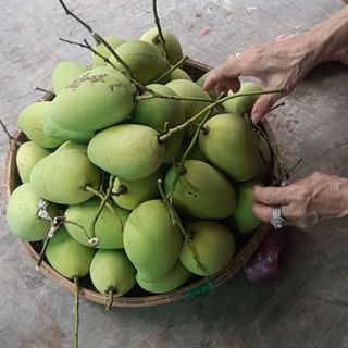 ngocphuong050917