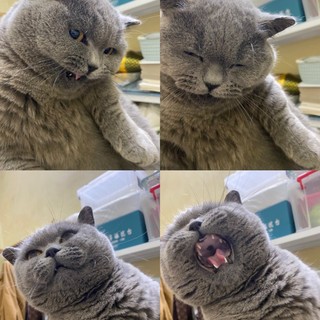 minhfuong