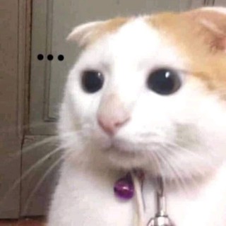 daudau2006
