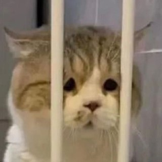 tmeii_kvc
