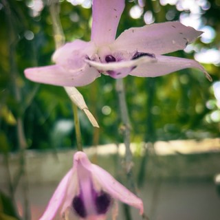 nguyenthikimhoa671