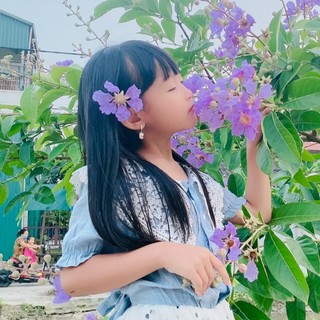 chmnguyn734